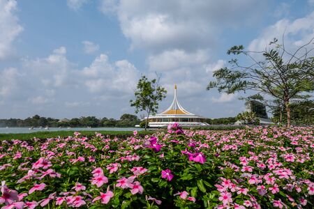 flower field and a floting convention hall
