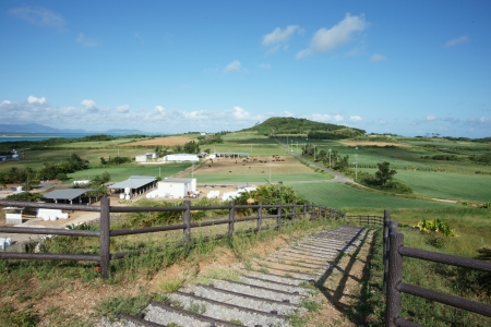 Kohama Islandの写真素材