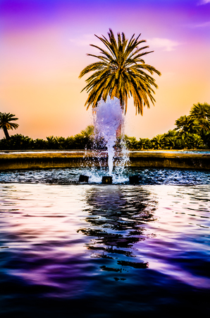 Barcelona - Spain   a paradise of colors at sunsetの写真素材