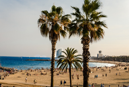 Palm Beach In Barcelona Spain のeditorial素材