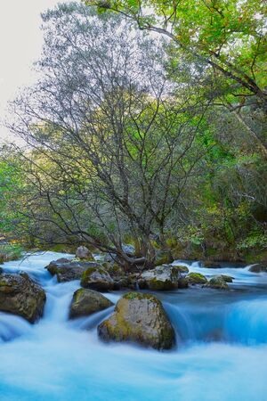 Blurred river water with a tree in the middle with stones and green trees around at shiny dayの写真素材