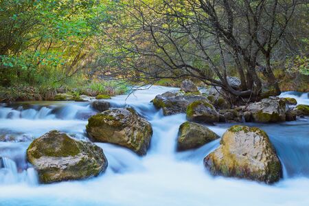 Blurred river water with a tree and rocks inside at a shiny day and green trees and plants aroundの写真素材