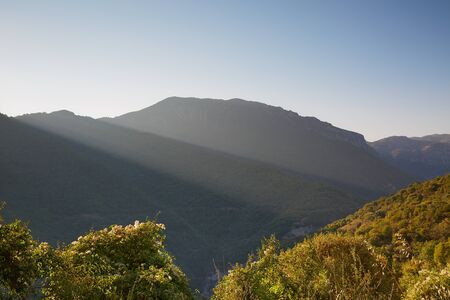 Sun rays over the mountains at shiny day and clear sky in front of green trees and plantsの写真素材