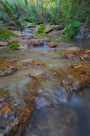 Blurred stream with beautiful colors leafs on the rocks and green trees and plants at shiny day in Greeceの写真素材