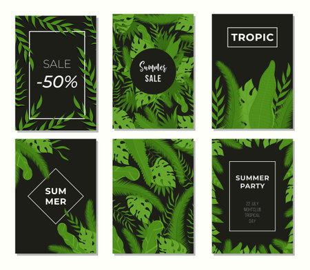 Vector set of tropical summer posters. Banners with leaves from the tropics.のイラスト素材