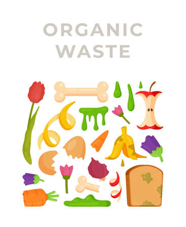 Organic waste. Vector illustration of recycling garbage for fertilizer. Compost pit. Banana skins, mold, cans, preserves, bottles.のイラスト素材