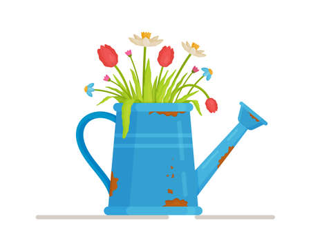 Vector illustration of spring flowers in a watering can. Picking a flower in the garden in a field of flowers. Buying a gift for the beloved girl for March 8.のイラスト素材