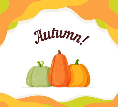 Vector illustration autumn concept. A beautiful drawing of a ripe fall harvest isolated on a white and red background. Beautiful concept for Black Friday, the Halloween holiday.のイラスト素材