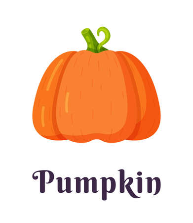 Vector illustration of an isolated pumpkin on a white background. Halloween pumpkin icon. Scary Halloween pumpkin with a smile and a happy face. Silhouette of an orange pumpkin.のイラスト素材