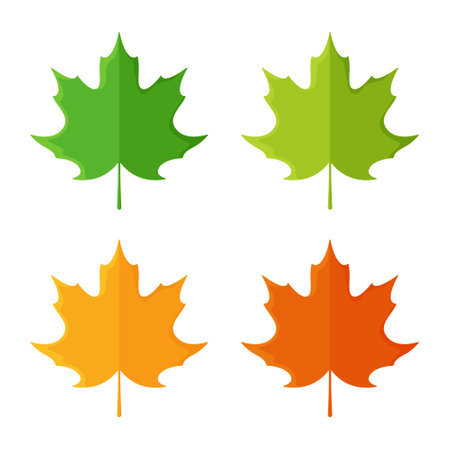 Vector illustration of maple leaves. Symbolism of Canada. Four colored autumn leaves. Green, lettuce, yellow and red leaf. Set.のイラスト素材