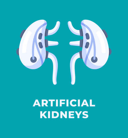 Vector illustration of artificial kidneys isolated on a blue background. Donor concept. A new invention. Organ transplantation.のイラスト素材