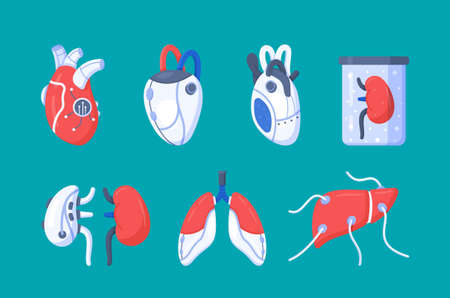 Vector illustration of the artificial organs. A set of donor organs. Kidney, liver, heart, lung and other organ transplants. Bionic organs isolated on blue background.のイラスト素材