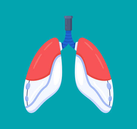 Vector illustration of artificial lungs. Isolated live lungs on a blue background. Lung transplantation. Lung replacement after smoking. Needs a donor.のイラスト素材