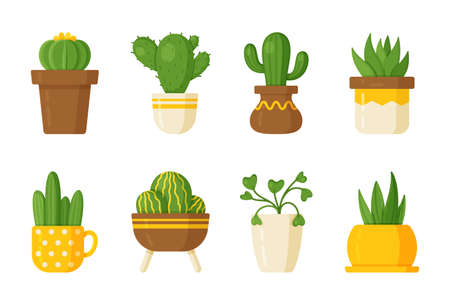Vector illustration of a set of cacti and indoor plants. Flat, cartoon style. Spiny cacti and succulents background, art.のイラスト素材