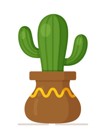 Vector illustration of cactus concept. Beautiful room flowers in vases. Three plants in vases. White backgroundのイラスト素材