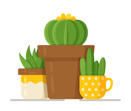Vector illustration of cactus concept. Beautiful room flowers in vases. Three plants in vases. White backgroundのイラスト素材