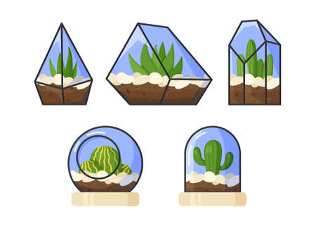 Vector illustration of a plant in glass. Set of indoor plants in glass. Plant multifaceted glass. Sprouting plants. Sprouting.のイラスト素材