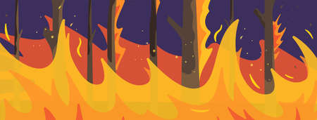 Vector illustration of nightly wildfire. Concept of a wildfire. Hot red flames in the forest, a natural disaster. Trees on fire. Nightly wildfire.のイラスト素材