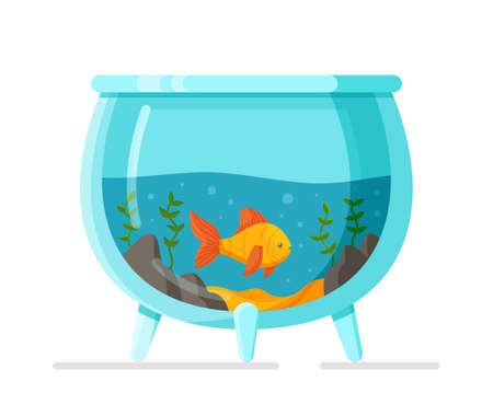 A small aquarium with goldfish isolated on a white background. Vector illustration with water, algae, shells, bubbles, sand and fish. Glass jar with water.のイラスト素材
