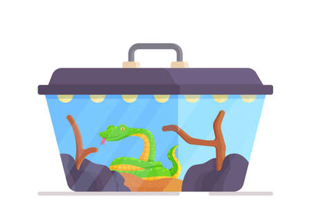 Green snake in a transparent terrarium. Vector illustration of snake house isolated on white...