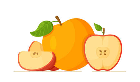 The concept of fresh apples on a white background. Vector illustration of apple concept. seasonal fruit. Appetizing.のイラスト素材