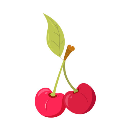 Vector illustration of an isolated cherry tree. Juicy ripe berries on a white background. Summer tropical fruits with shadows and highlights.のイラスト素材
