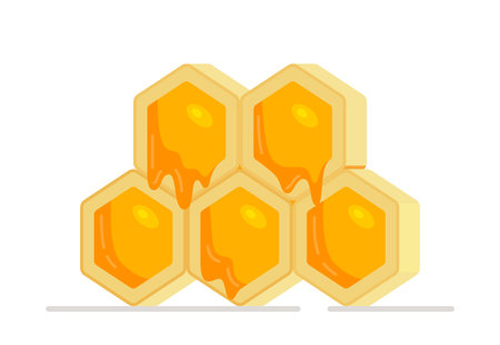 Juicy honeycomb with fresh honey. Vector illustration of brightly colored honey texture. Useful and delicious. isolated on a white background.のイラスト素材