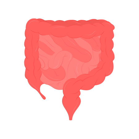 Vector illustration of an isolated human intestinal organ.のイラスト素材