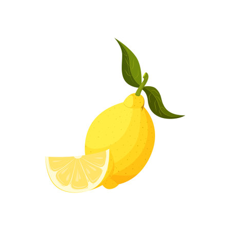 Vector illustration of an isolated whole lemon and its half. Yellow juicy fruit with shadows and highlights.のイラスト素材
