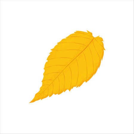 Vector illustration of an isolated autumn linden tree leaf with different textures, shadows and other details. autumn bright art.のイラスト素材