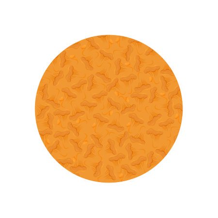 vector mushroom illustration. Banner of chanterelles mushrooms. Red mushroom soup.のイラスト素材