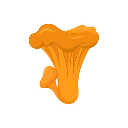 Raw organic mushroom. Vegetarian plant, ingredient for cooking. Isolated flat vector illustration of the fungus.のイラスト素材