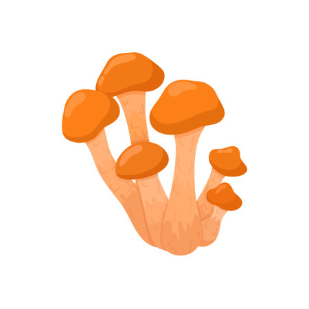 Vector illustration of a group of mushrooms again in the style of hand draw. Organic food in the forest. Ecologically clean foodのイラスト素材