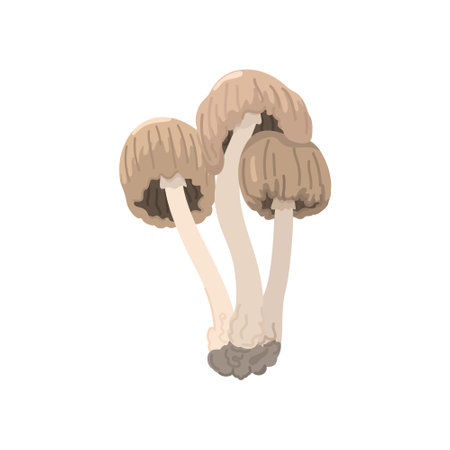 Edible mushroom flat icon. Suede bolete mushroom. vector illustration.のイラスト素材