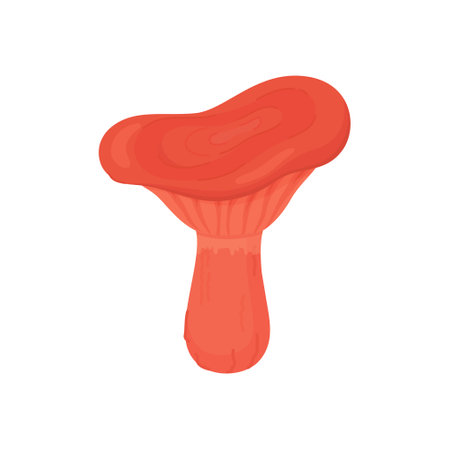 Edible mushroom flat icon.affron milk cap mushroom. vector illustration.のイラスト素材