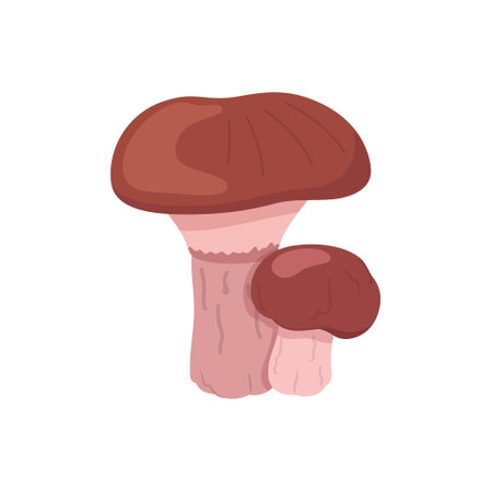 Vector illustration two stubby-stalk. Two interesting mushrooms in a complex flat style. A couple of mushrooms for food retail concerts.のイラスト素材