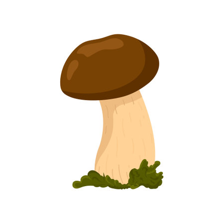 Autumn flavor, a simple mushroom illustration. Vector illustration.large white mushroom.のイラスト素材