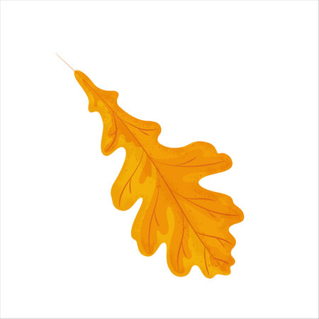 Vector illustration of an isolated oak tree autumn leaf with different textures, shadows and other details. autumn bright art.のイラスト素材