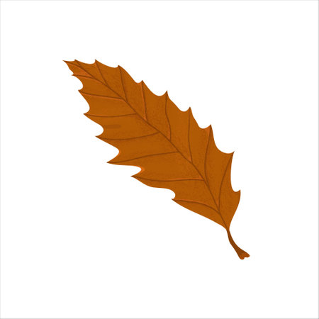 Vector illustration of an isolated oak chestnut tree autumn leaf with different textures, shadows and other details. autumn bright art.のイラスト素材