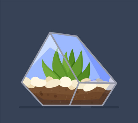 Vector illustration of plant triangle glass. Triangular plant glass isolated on blue background. Greenhouse effect for growing plants.のイラスト素材
