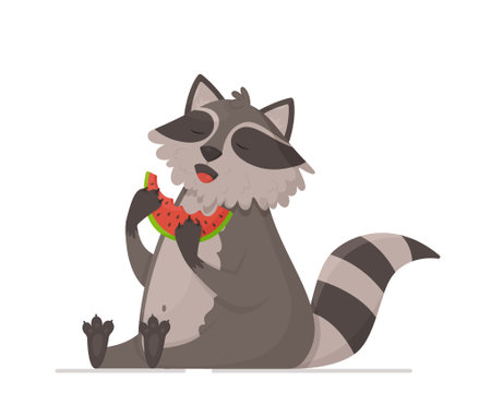 Cute raccoon eating watermelon on white background. Vector illustration of a sitting raccoon. The gray pet fluffy is isolated.のイラスト素材