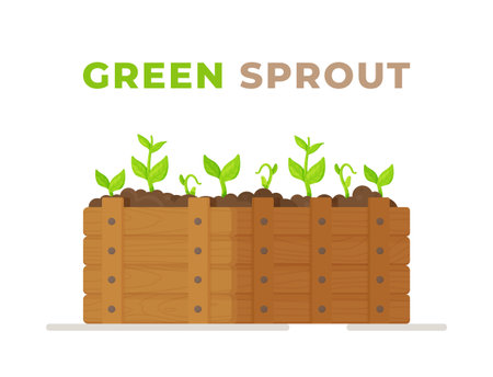 Growing plants. Growing vegetables. Seedling, the background of gardening. Growth of a carrot plant. vector illustration.のイラスト素材