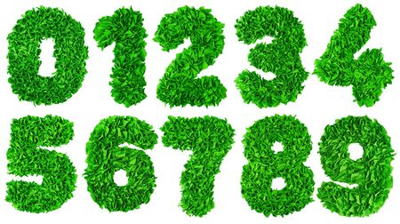 Handmade number set from green crepe paper isolated on white background. Set of numbers from scraps of paperの写真素材