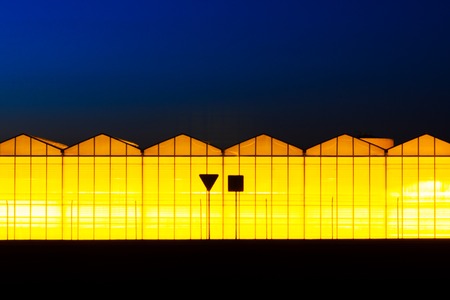 Greenhouse plant at night. Night landscape luminous glass construction. Silhouette of road signs on a background of a facade of a hothouseの写真素材