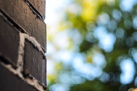Rough brick wall painted in black with painting seams in white. Abstract summer blur backgroundの写真素材