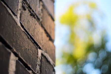 Rough brick wall painted in black with painting seams in white. Abstract summer blur backgroundの写真素材