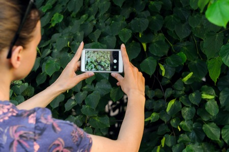Female taking the texture of nature for memory while traveling. Taking a picture with a smart phone conceptの写真素材