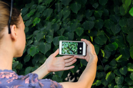 Female taking the texture of nature for memory while traveling. Taking a picture with a smart phone conceptの写真素材