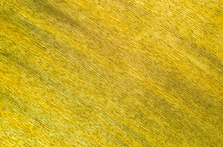 Gold Texture of Embossed Paper. Gold Paper Texture Background