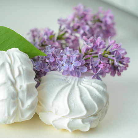 White marshmallow and a twig of lilac on a white background. Fresh spring still lifeの写真素材